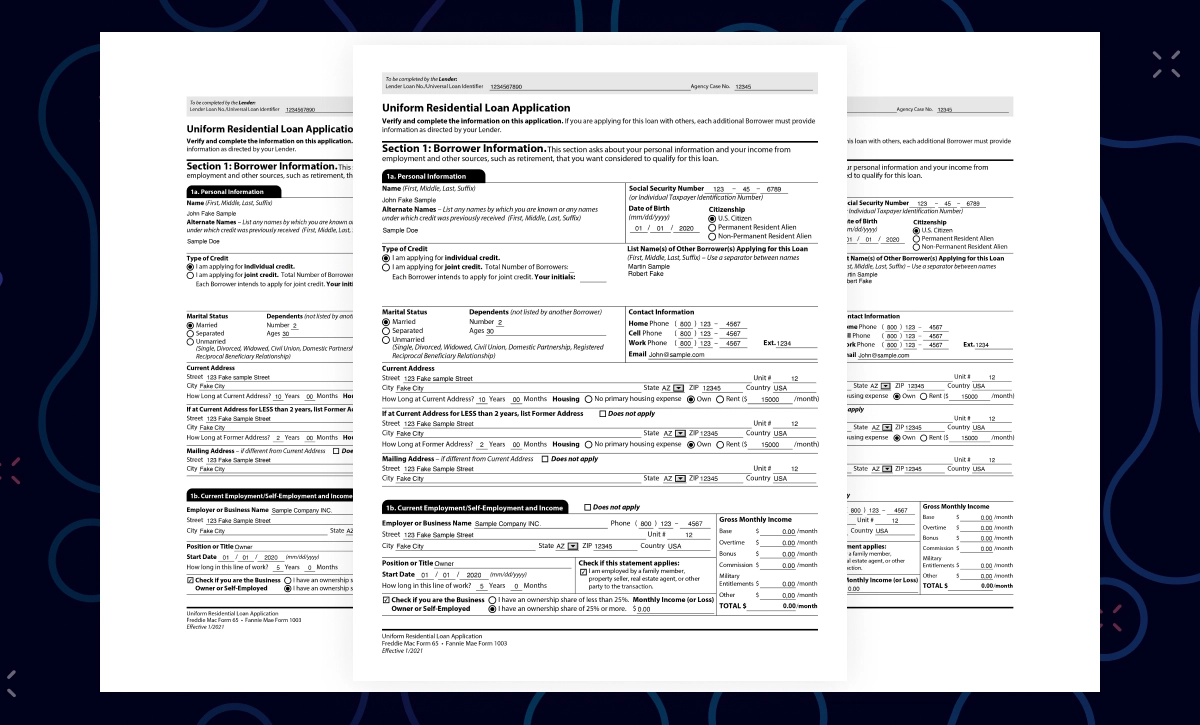 Form 1003 page